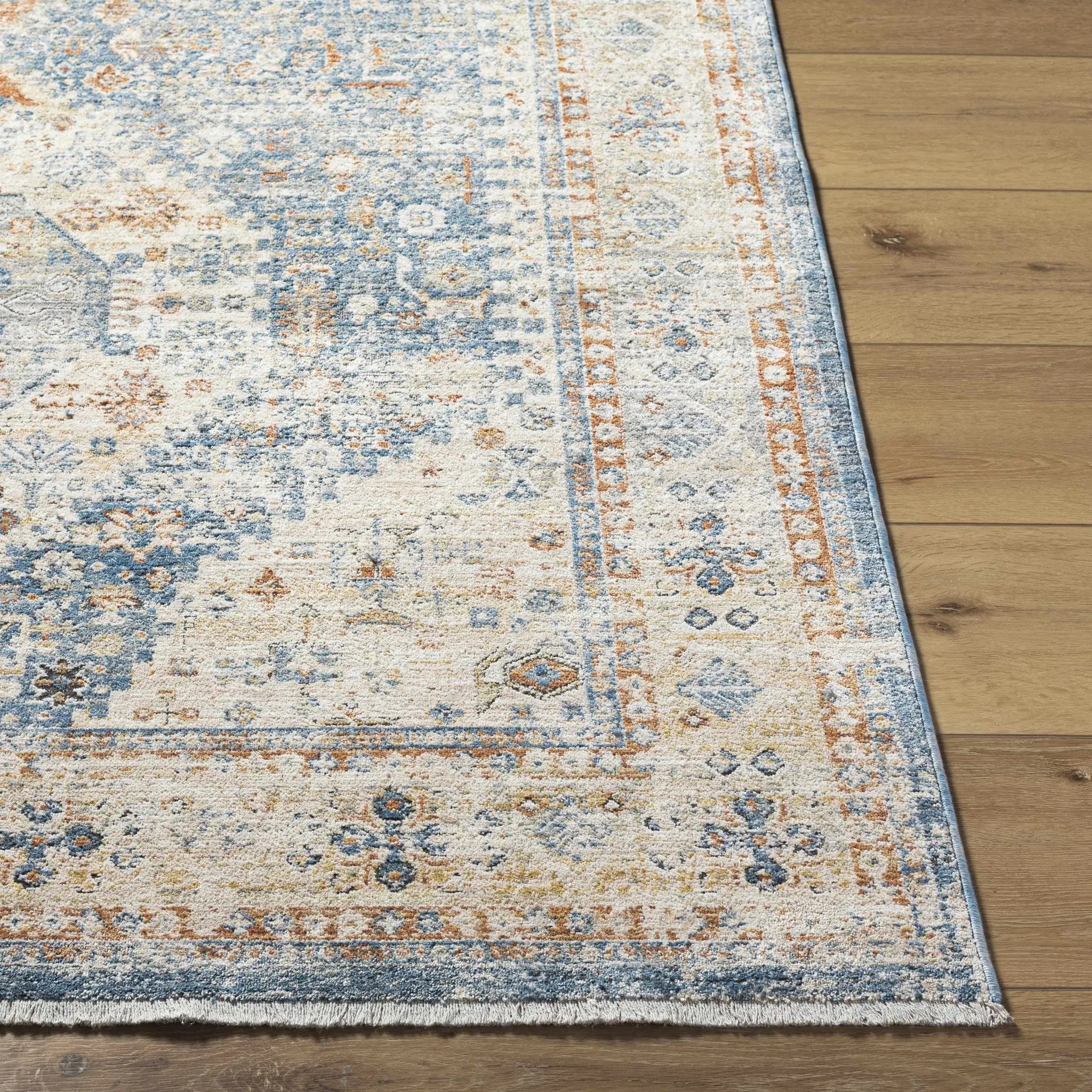 Cyndi Area Rug - Clearance by Boutique Rugs