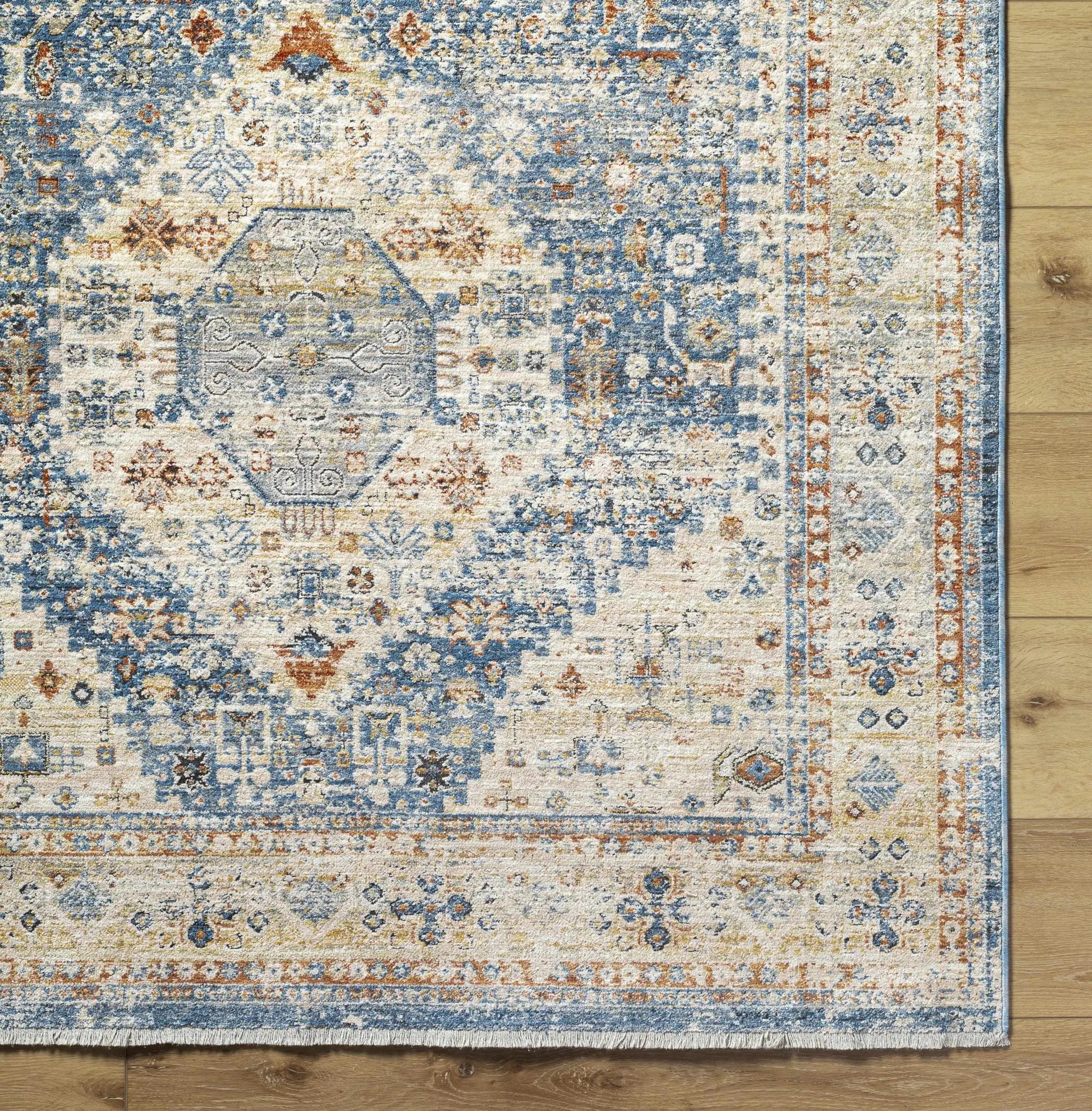 Cyndi Area Rug - Clearance by Boutique Rugs