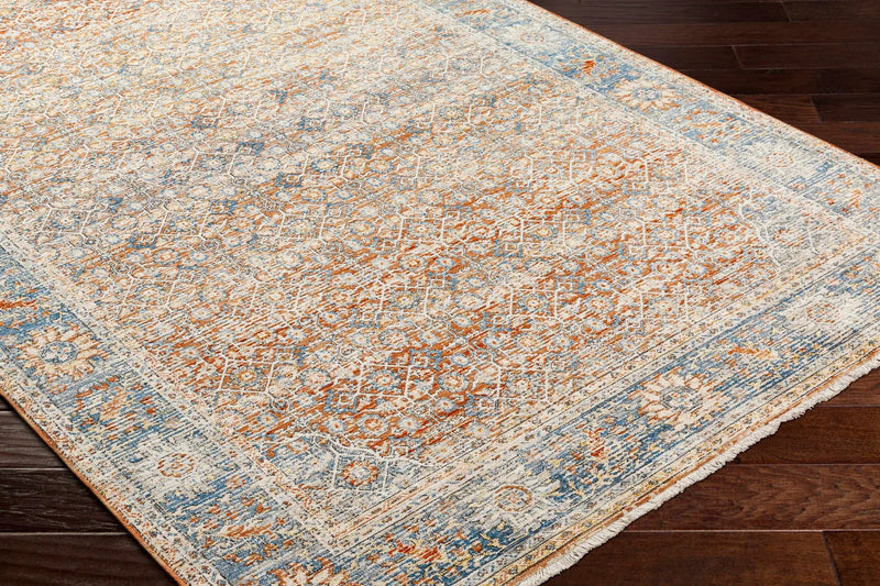 Dalit Area Rug - Clearance by Boutique Rugs