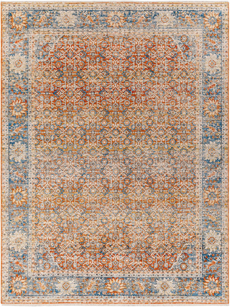 Dalit Area Rug - Clearance by Boutique Rugs