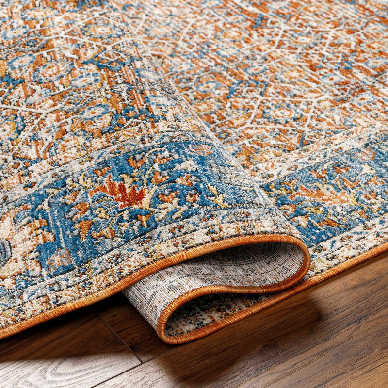 Dalit Area Rug - Clearance by Boutique Rugs