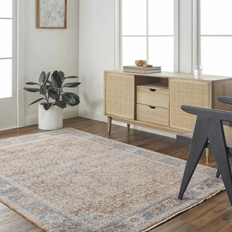 Dalit Area Rug - Clearance by Boutique Rugs