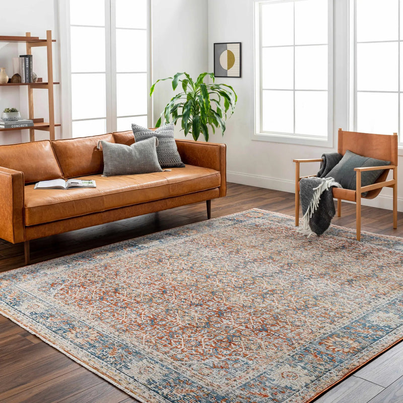 Dalit Area Rug - Clearance by Boutique Rugs