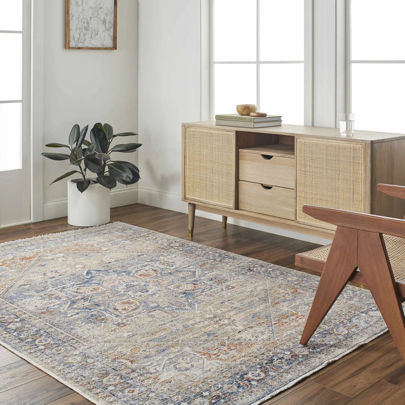 Elita Area Rug - Clearance by Boutique Rugs