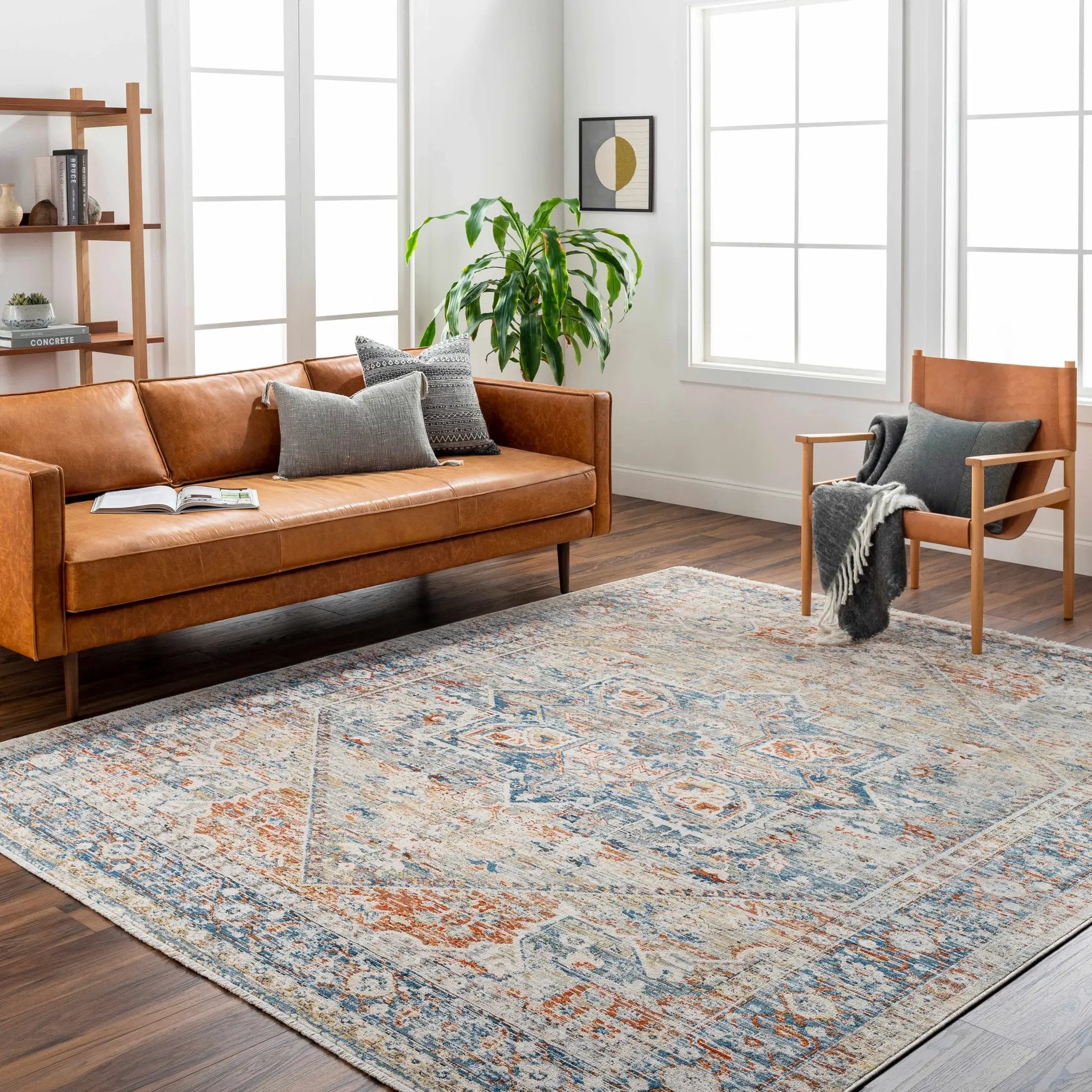 Elita Area Rug - Clearance by Boutique Rugs