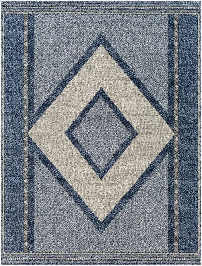 Onan Area Rug - Clearance by Boutique Rugs