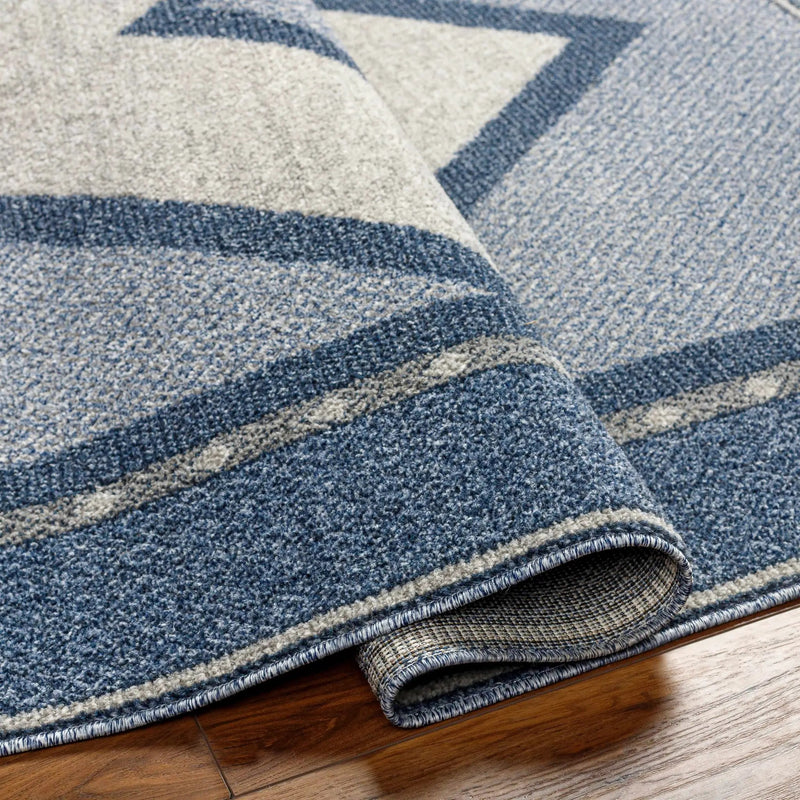 Onan Area Rug - Clearance by Boutique Rugs
