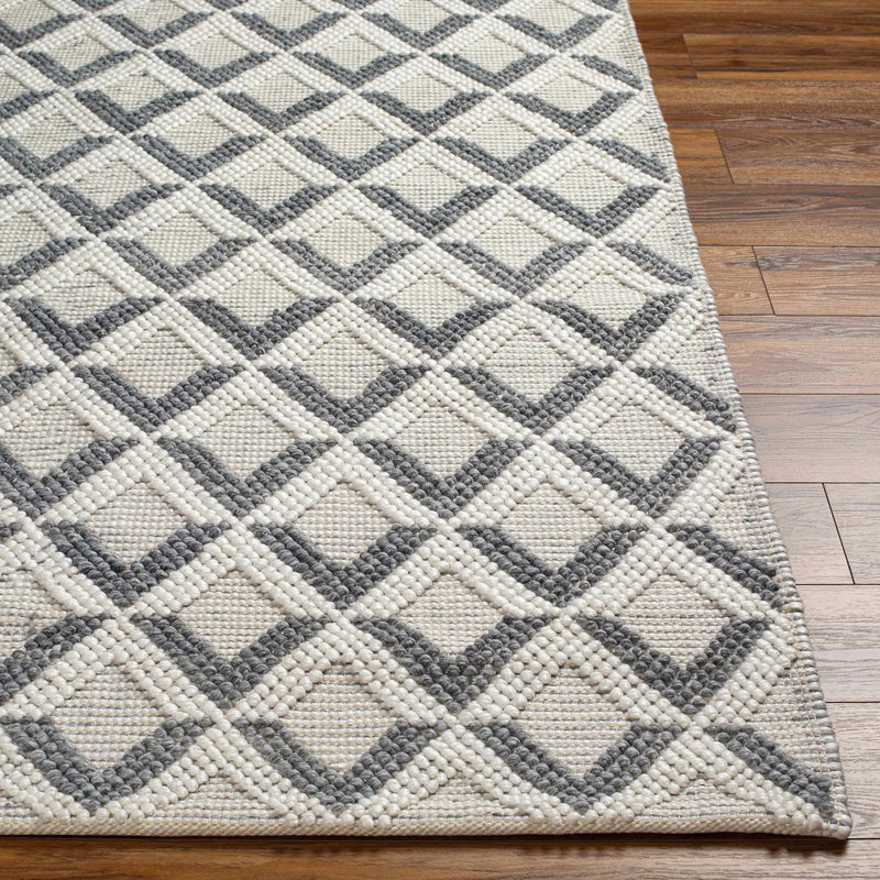 Maik Area Rug - Clearance by Boutique Rugs