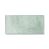 Seafare Glossy Ceramic Tiles 2 1/2x5