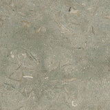 Seagrass Honed Limestone Tiles 12x12