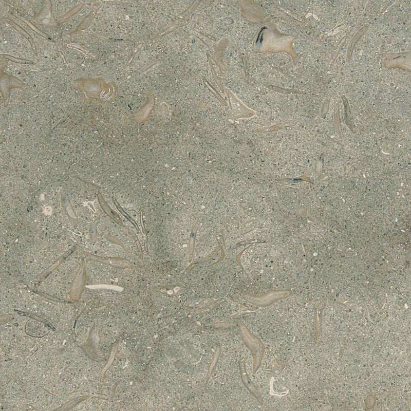 Seagrass Honed Limestone Tiles 12x12 Limestone Honed 12x12 Tiles
