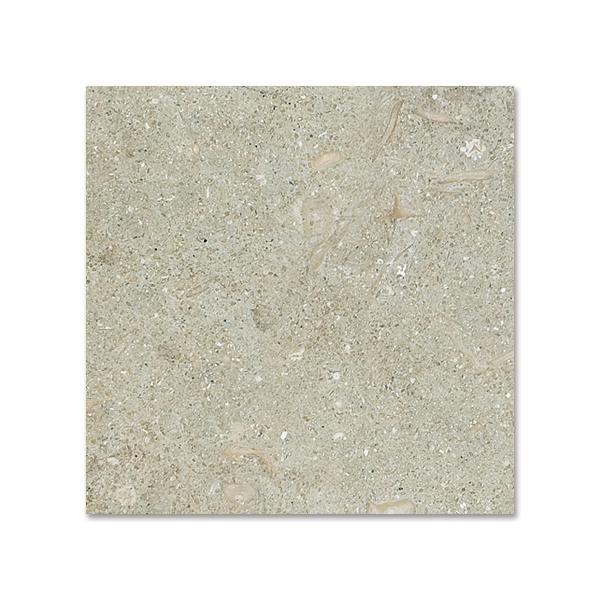 Seagrass Honed Limestone Tiles 4x4 Limestone Honed 4x4 Tiles