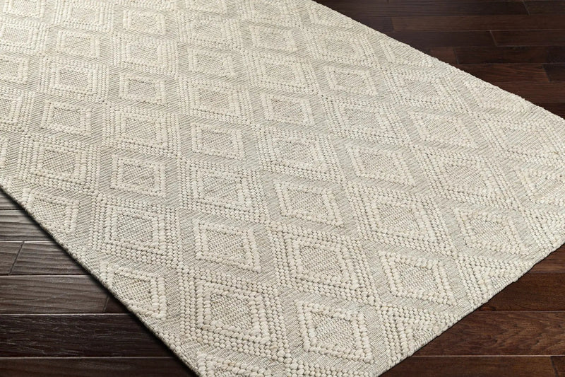 Kasib Beige Hand Woven Area Rug - Clearance by Boutique Rugs