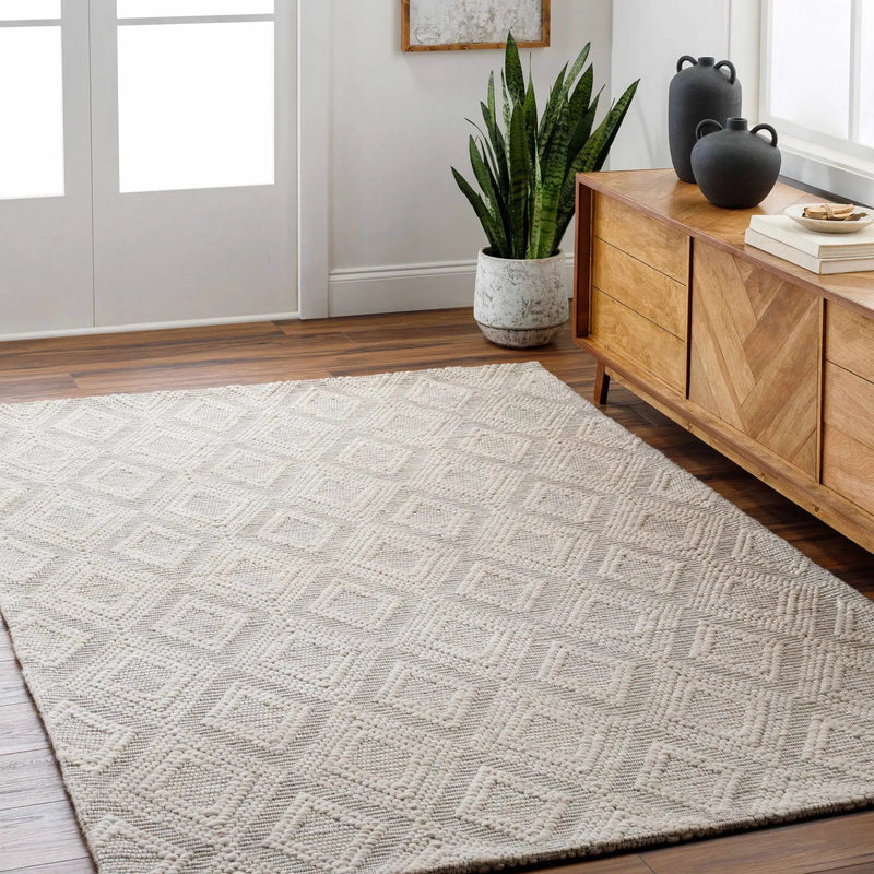 Kasib Beige Hand Woven Area Rug - Clearance by Boutique Rugs