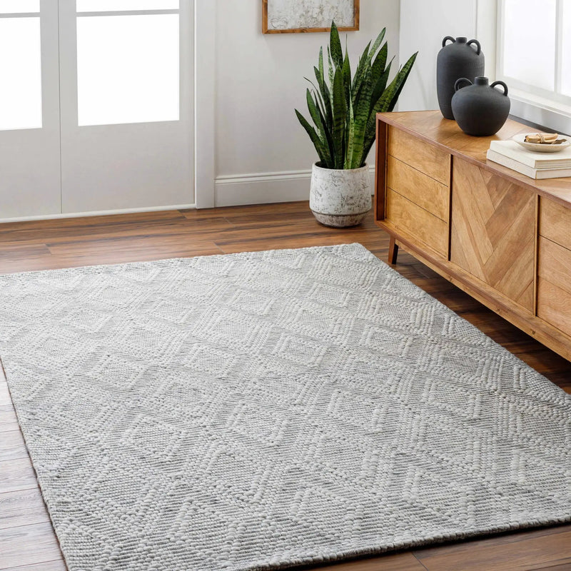 Kasib Gray Hand Woven Area Rug - Clearance by Boutique Rugs