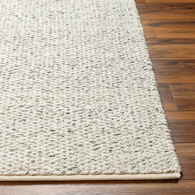 Gilad Area Rug - Clearance by Boutique Rugs