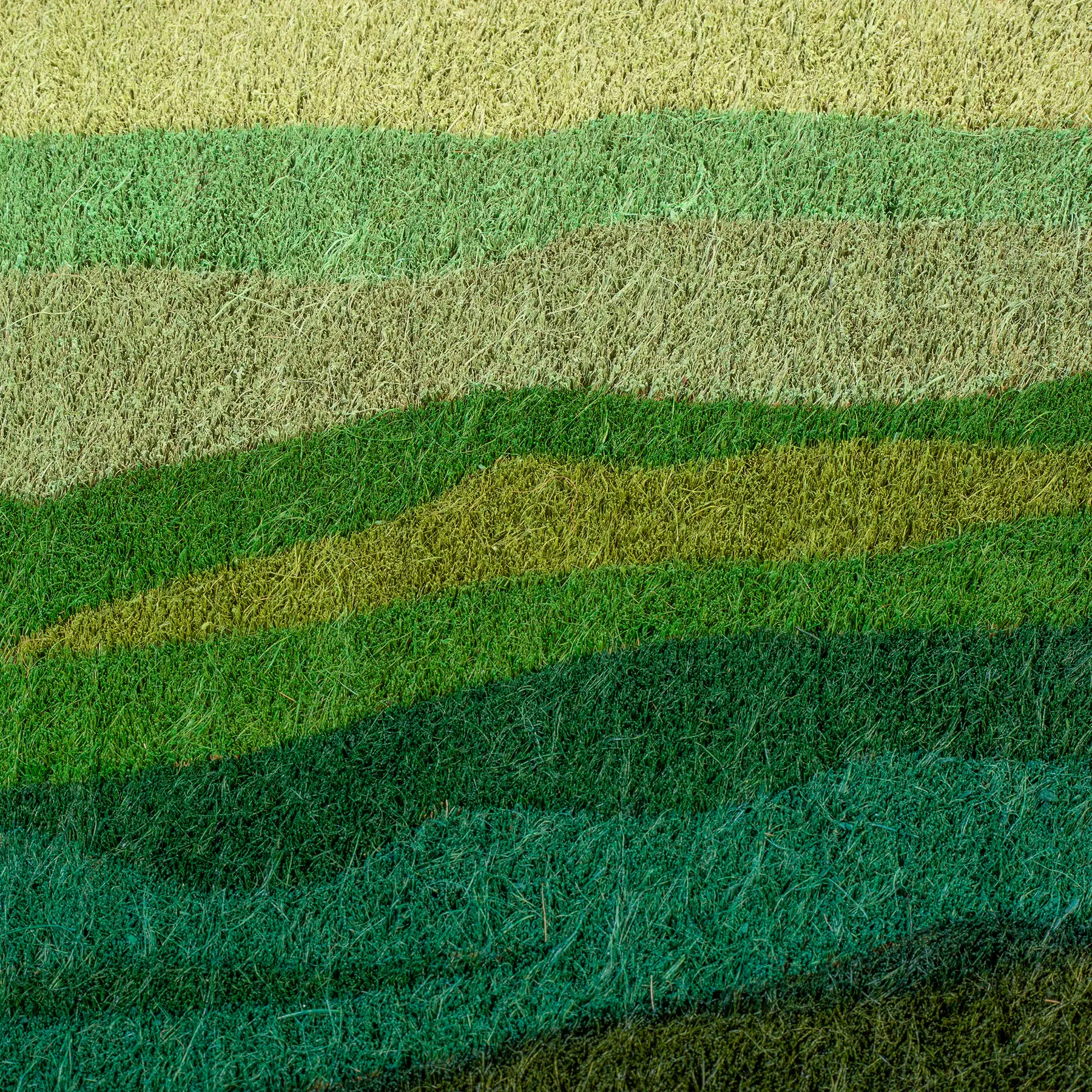 Shades of Meadow - Green Coir Doormat by Fab Habitat