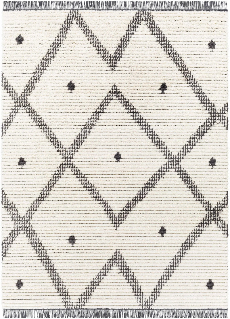 Shae Area Rug by Boutique Rugs