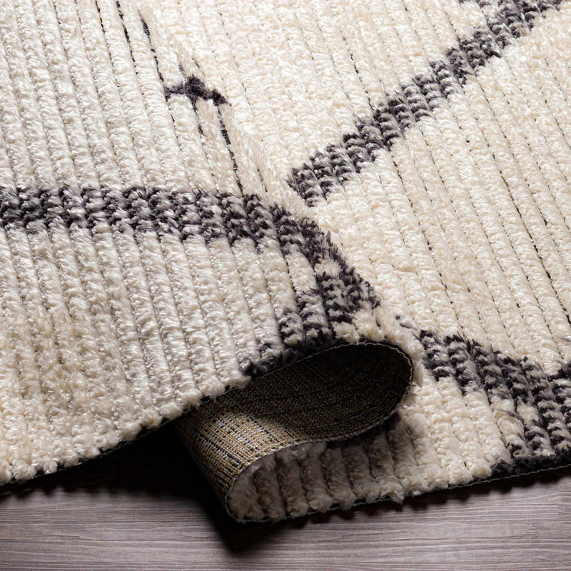 Shae Area Rug by Boutique Rugs