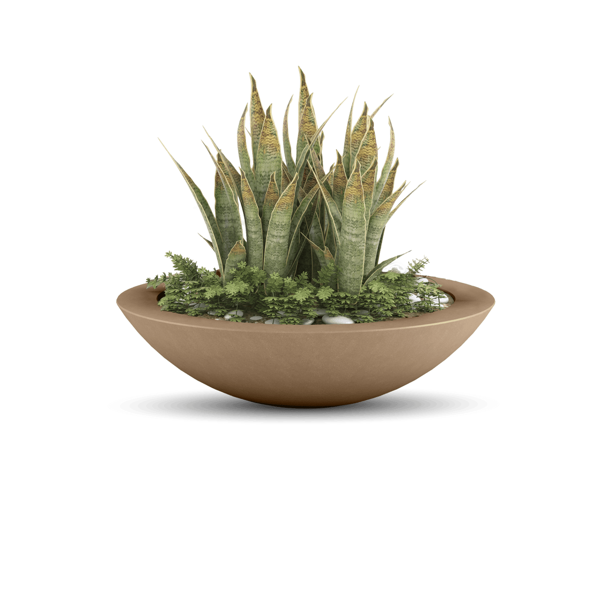 Oceanside Outdoor Shallow Planter, photo 33 of 41