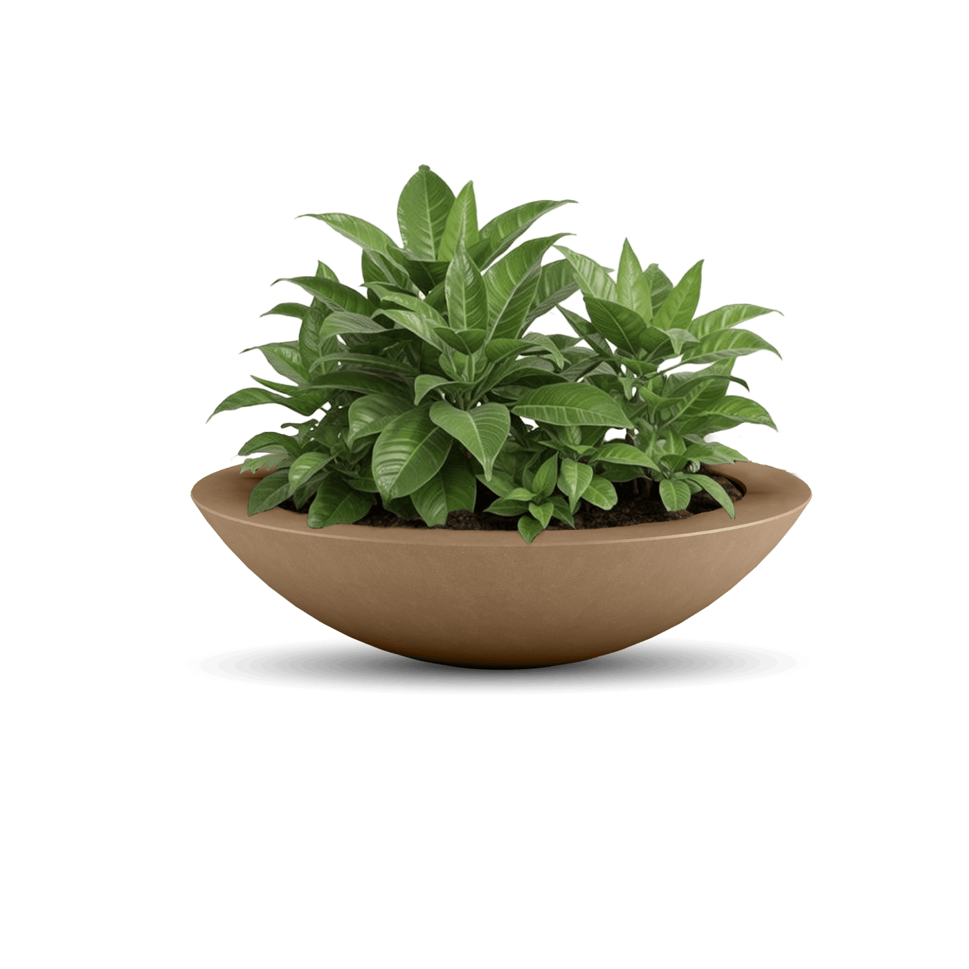 Oceanside Outdoor Shallow Planter by ModaConcrete - Direct source for architectural and precast concrete