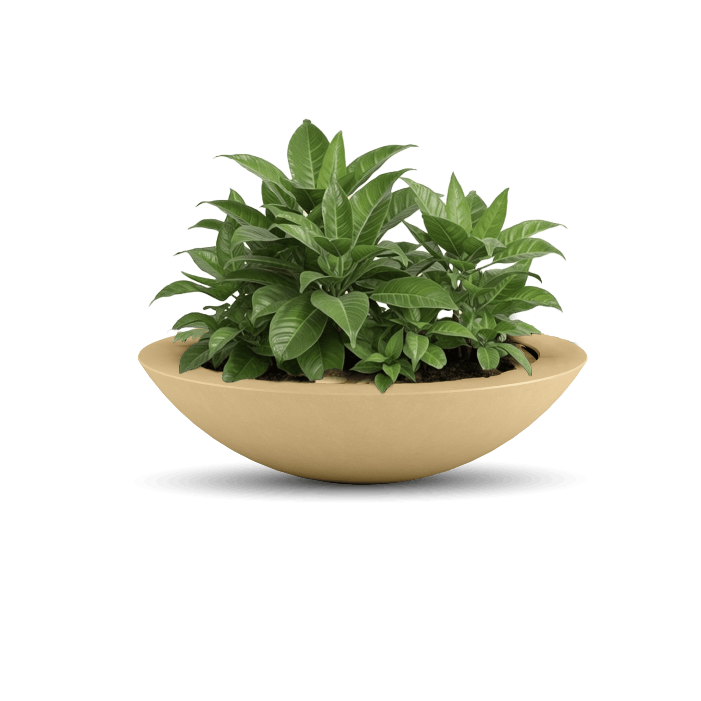 Oceanside Outdoor Shallow Planter by ModaConcrete - Direct source for architectural and precast concrete