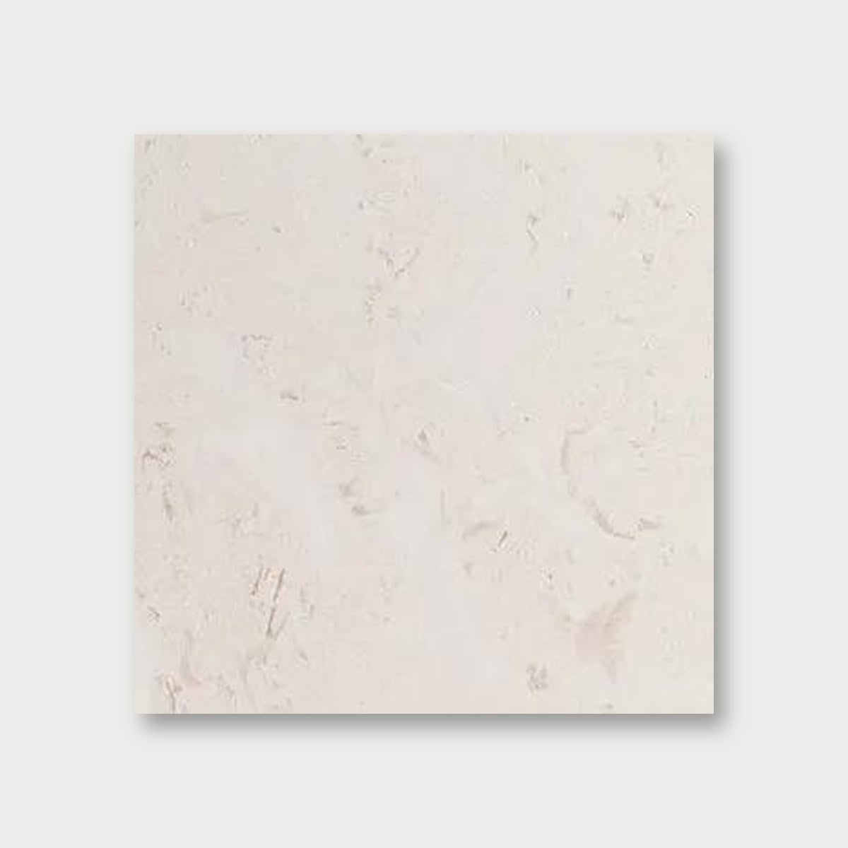 Shell Reef Tumbled Limestone Pavers 12x12, photo 2 of 3