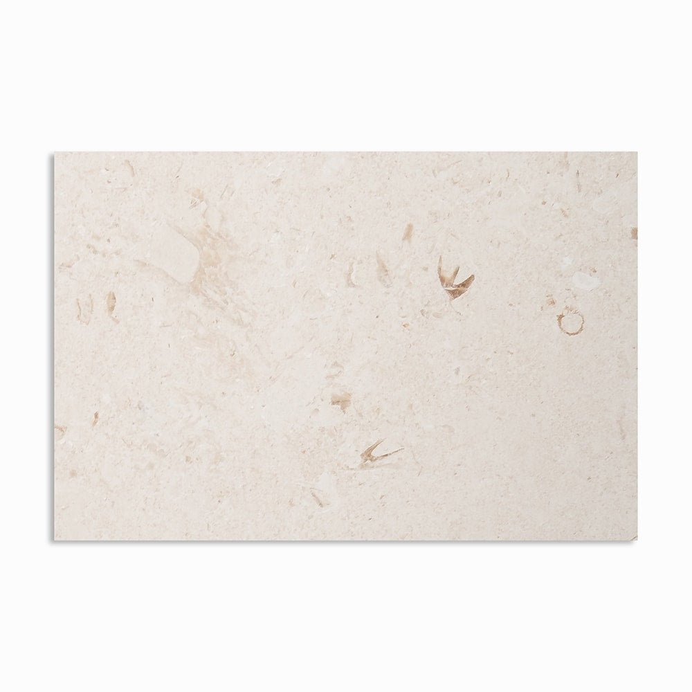 Shell Reef Tumbled Limestone Pavers 16x24 Limestone Tumbled 16x24 Pavers