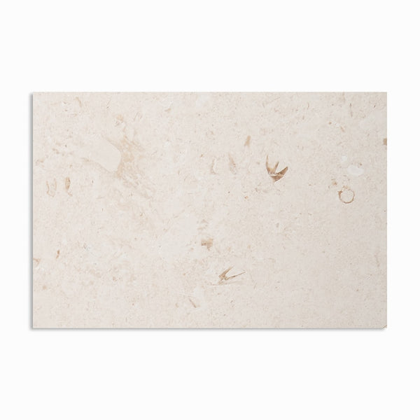 Shell Reef Tumbled Limestone Pavers 16x24