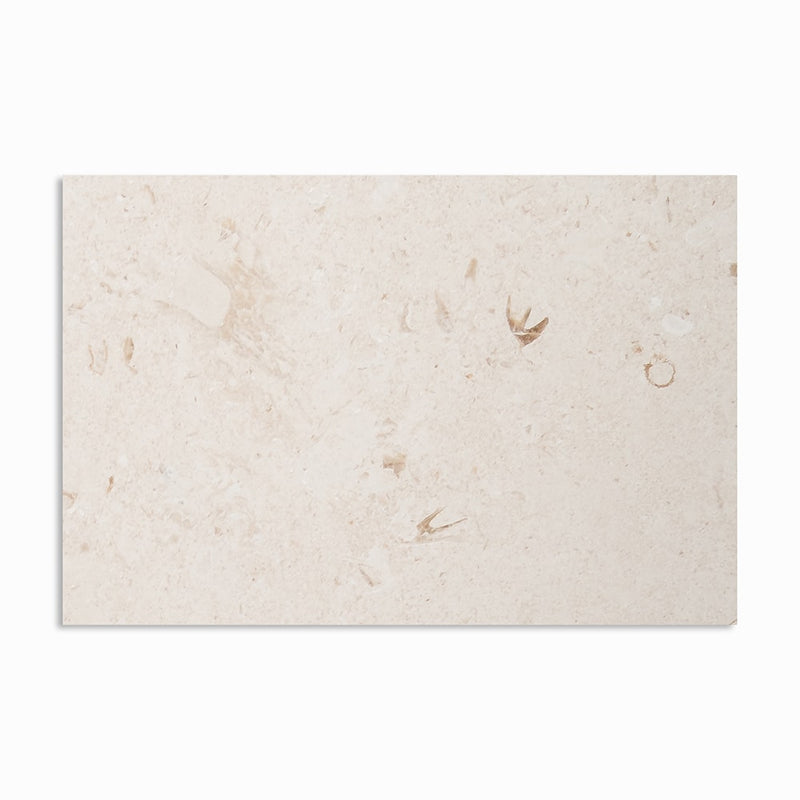 Shell Reef Tumbled Limestone Pavers 16x24 Limestone Tumbled 16x24 Pavers