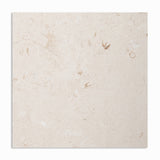 Shell Reef Tumbled Limestone Pavers 36x36