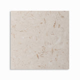 Shell Reef Tumbled Limestone Pavers 8x8