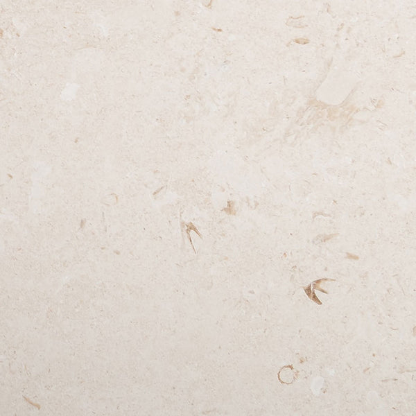 Shell Reef Tumbled Limestone Pavers Swatch