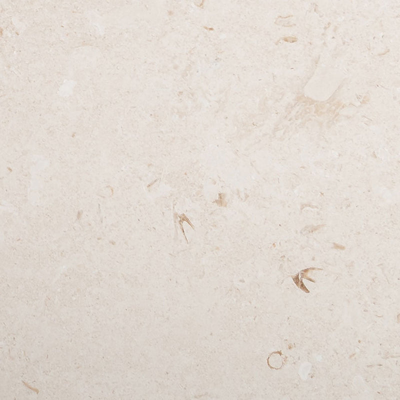 Shell Reef Tumbled Limestone Pavers Swatch Limestone Tumbled 6x6 Pavers