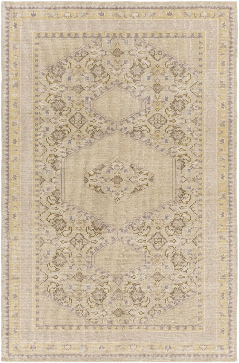 Shoemakersville Area Rug - Clearance by Boutique Rugs