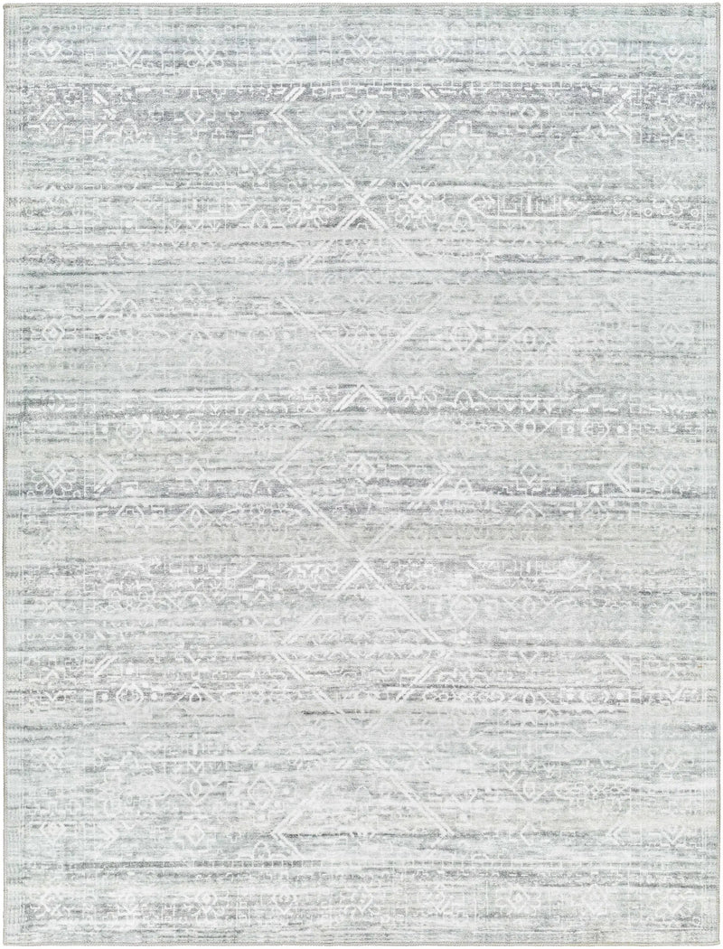 Blake Light Gray Washable Area Rug - Clearance by Boutique Rugs