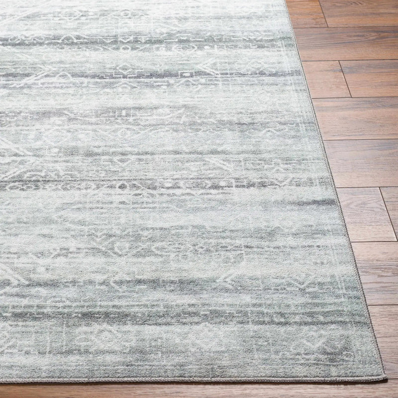Blake Light Gray Washable Area Rug - Clearance by Boutique Rugs