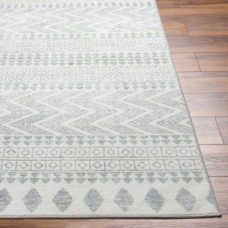 Danon Washable Area Rug - Clearance by Boutique Rugs