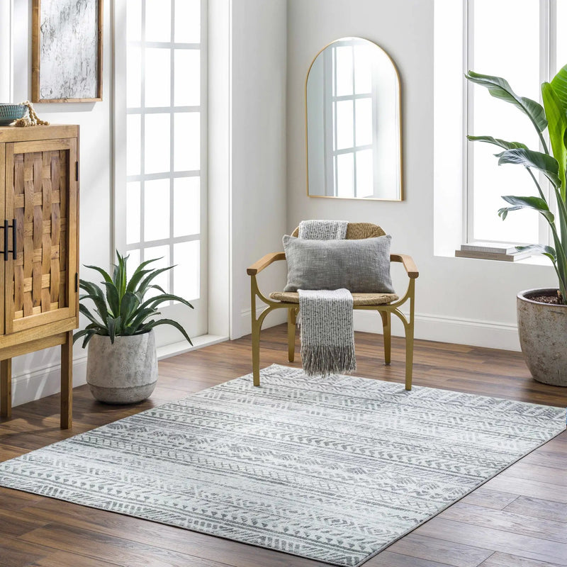 Ianna Light Gray Washable Area Rug - Clearance by Boutique Rugs