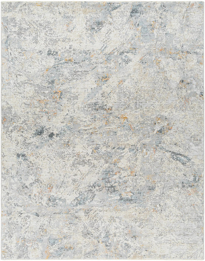 Amzie Area Rug - Clearance by Boutique Rugs