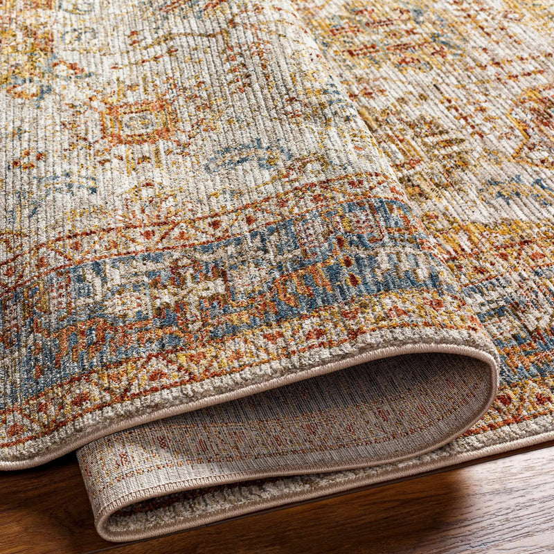 Ange Tan & Blue Rich Textured Traditional Rug by Boutique Rugs