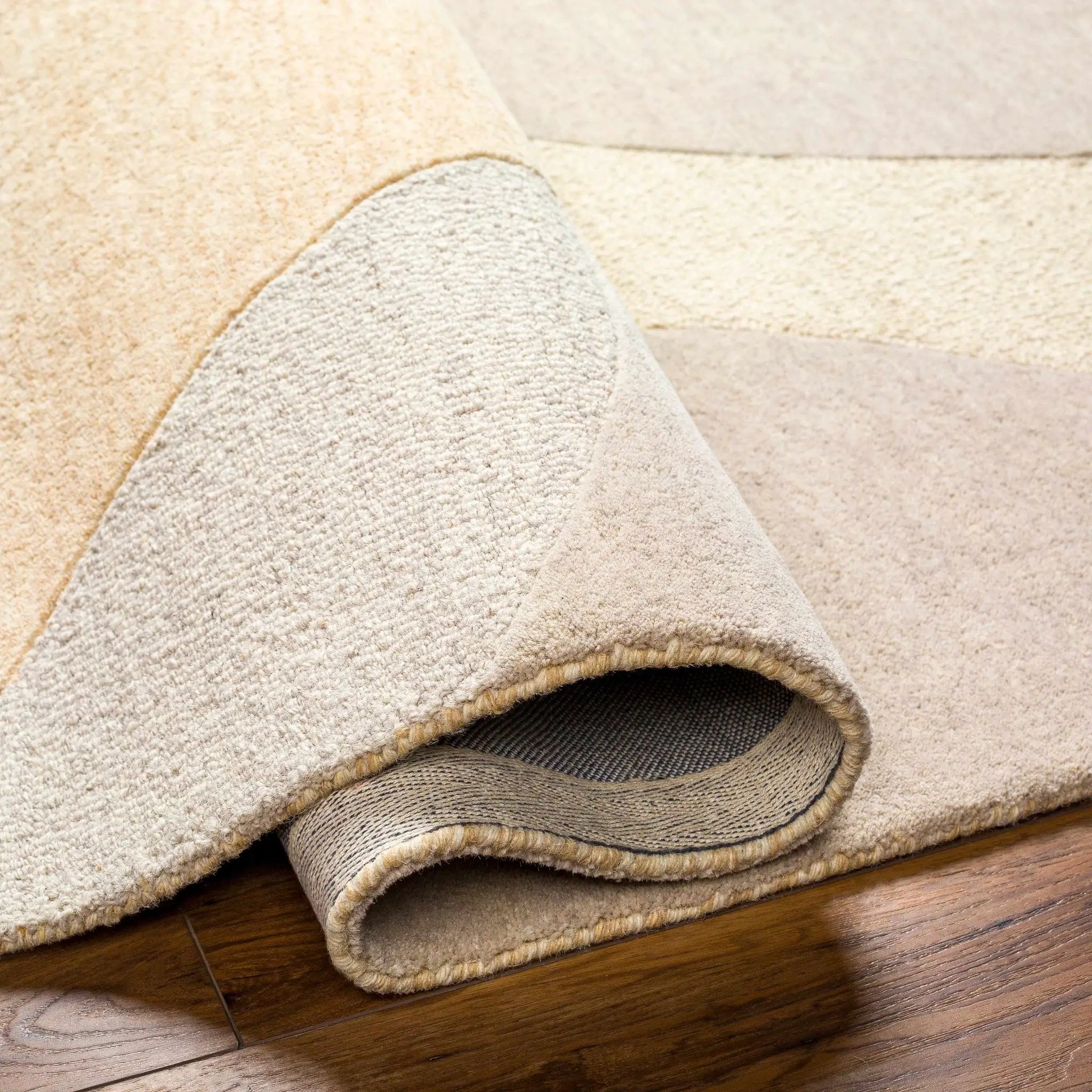 Cassiopeia Light Brown & Beige Area Rug - Clearance by Boutique Rugs