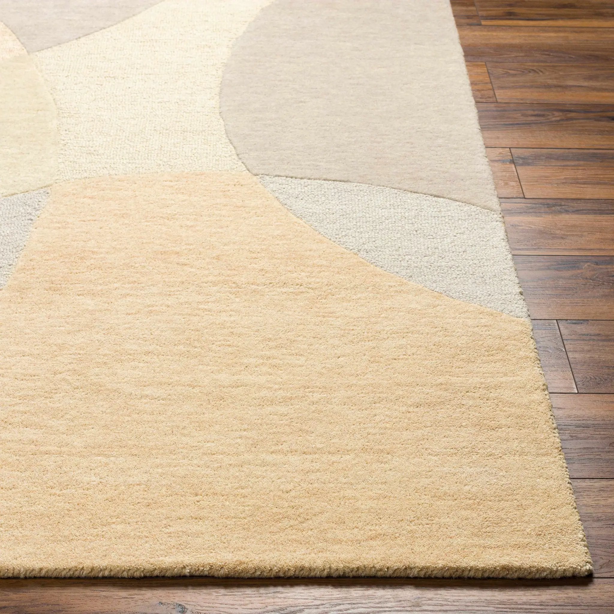 Cassiopeia Light Brown & Beige Area Rug - Clearance by Boutique Rugs