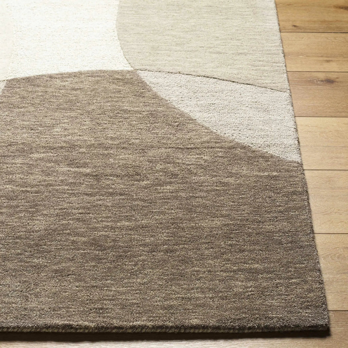 Cassiopeia Dark Brown & Beige Area Rug - Clearance by Boutique Rugs