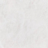 Siberian White Honed Marble Tiles 12x12