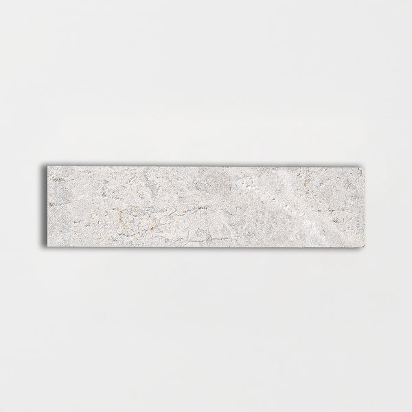 Silver Shadow Leather 2x8x1/2