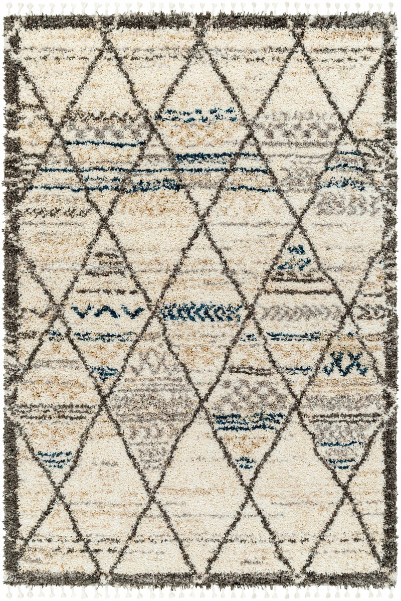 Gomez Area Rug - Clearance by Boutique Rugs