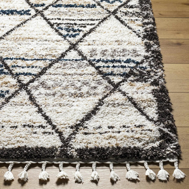 Gomez Area Rug - Clearance by Boutique Rugs