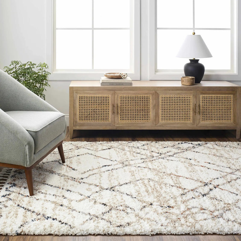 Hersz Cream Area Rug - Clearance by Boutique Rugs