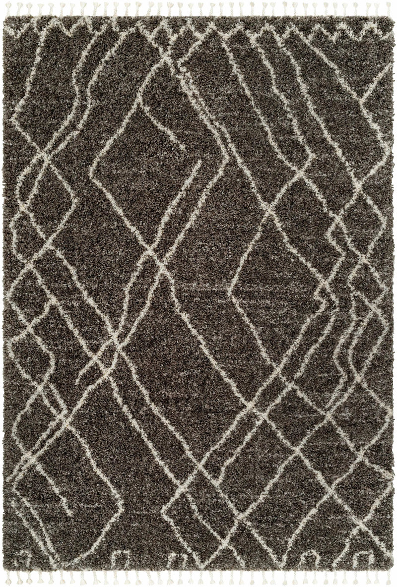 Hersz Gray Area Rug - Clearance by Boutique Rugs